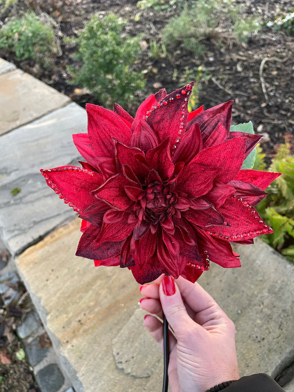 Red Velvet Dahlia Stem