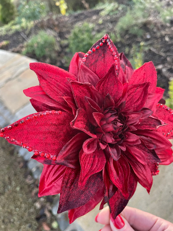 Red Velvet Dahlia Stem